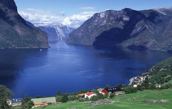 Картинка деревья, горы, берег, поля, дома, Норвегия, панорама, Norway