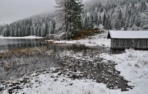 Картинка зима, снег, река, сарай, ёлки