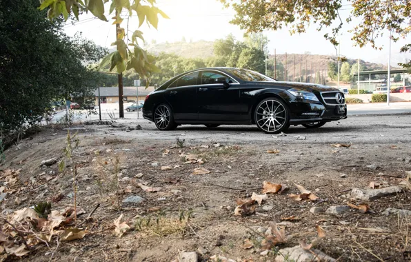 Черный, side, диски, black, Mercedes Benz, мерседес, CLS550