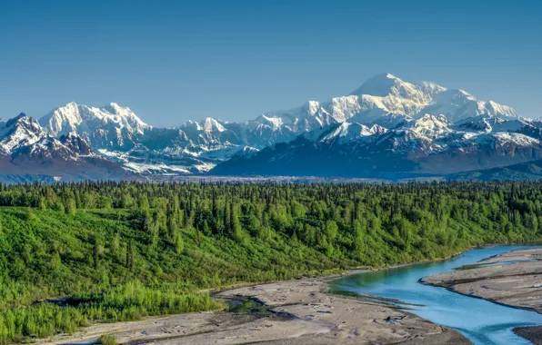 Картинка лес, горы, река, Аляска, Alaska, Denali National Park, Аляскинский хребет, Национальный парк Денали