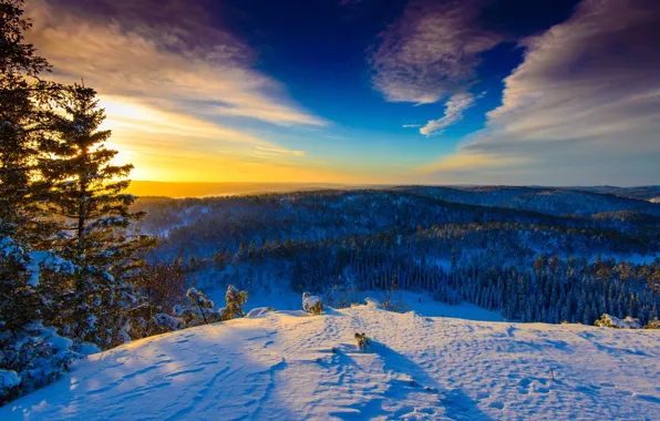 Зима, Норвегия, солнечный денёк