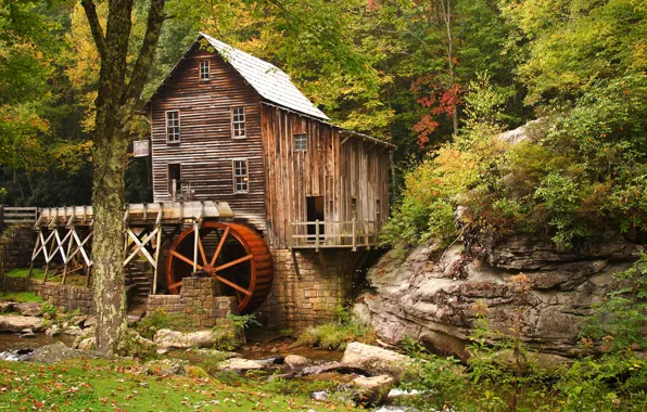 Осень, лес, листья, деревья, ручей, камни, США, Babcock State Park