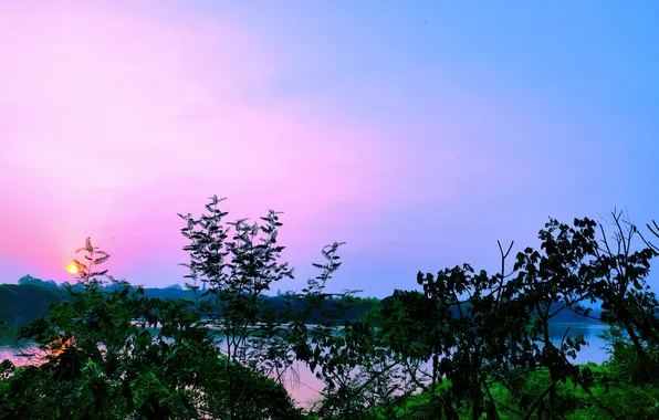 Sun, Water, Sunrise, Dawn, Morning, Lake, Trees, Reflection