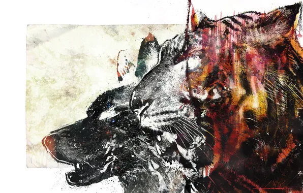 Картинка тигр, волк, vhm-alex, bloodbeat