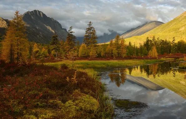 Картинка осень, деревья, горы, отражение, берег, растительность, водоем