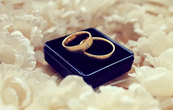 Макро, кольца, свадьба
