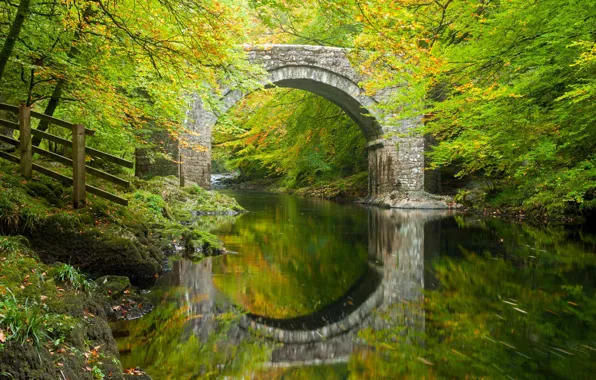 Картинка осень, лес, деревья, мост, отражение, река, Англия, арка