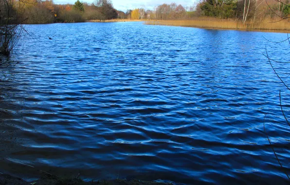 Water, park, lake