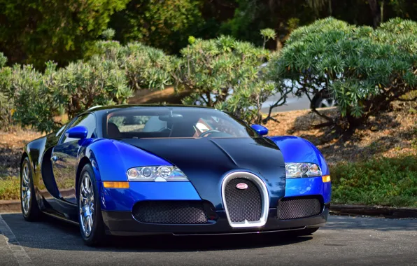 Veyron, bugatti, blue