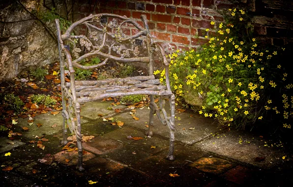 Flowers, chair, backyard