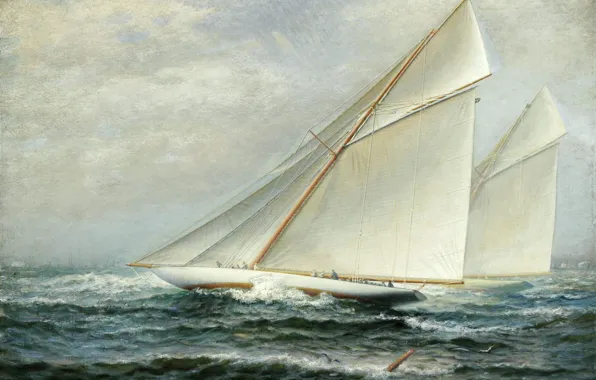 Картинка море, картина, яхты, живопись, James Gale Tyler, регата