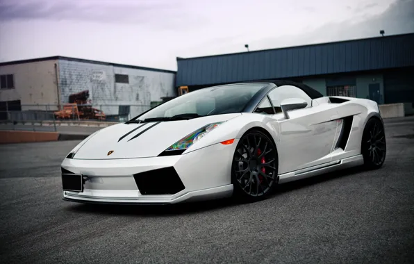 Lamborghini, белая, Gallardo, Hamman