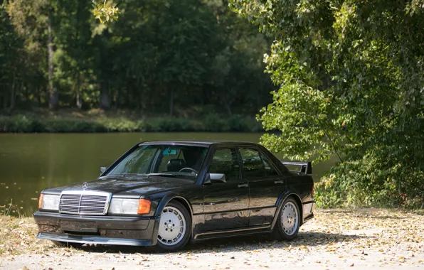 Mercedes-Benz, Mercedes, Evolution, Black, Water, Wheels, Lake, Forest