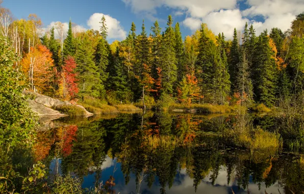 Картинка осень, лес, небо, облака, озеро