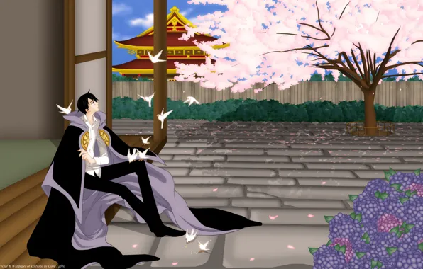 Птицы, весна, аниме, сакура, арт, парень, цветущие деревья, xxxHolic