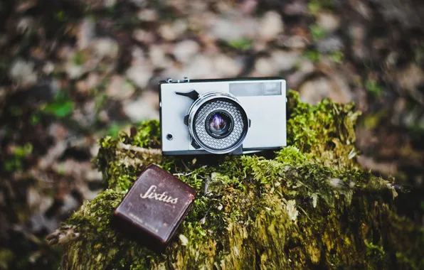 USSR, боке, Camera, фотоаппарат Зоркий, Зоркий-10