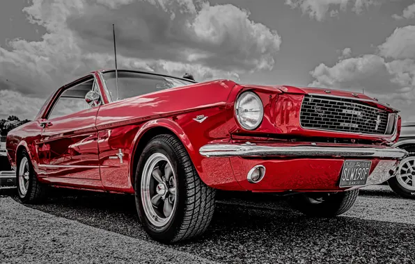 Mustang, Ford, передок, 1966