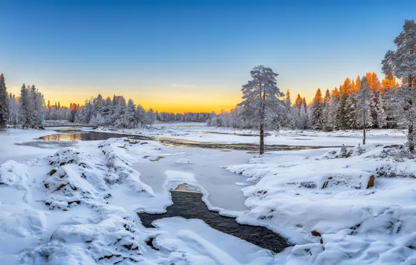 Зима, снег, деревья, река, Финляндия, Finland, Oulu, Оулу