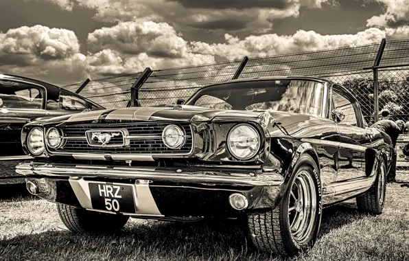 Ford Mustang, 1965, передок, GT350H