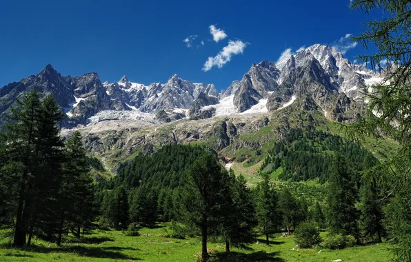 Деревья, горы, Альпы, Alps, Монблан, Mont Blanc