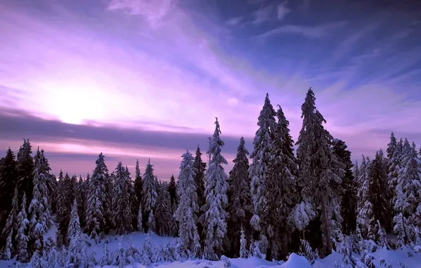 Картинка зима, закат, природа