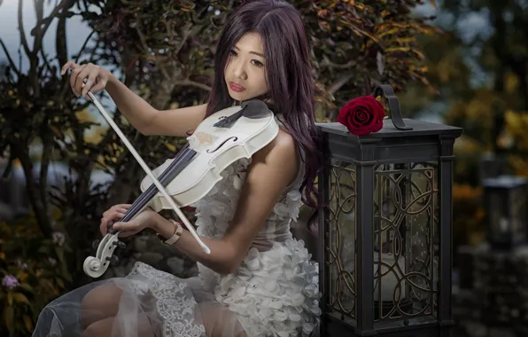 Девушка, настроение, скрипка, роза, фонарь, азиатка