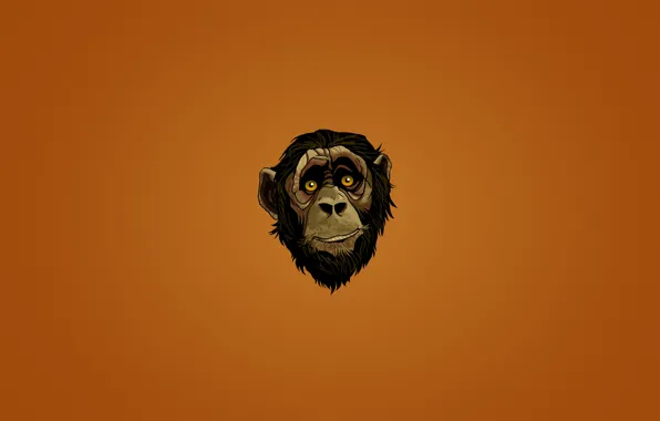 Картинка голова, минимализм, взгляд, monkey, темноватый фон, морда, обезьяна, лицо