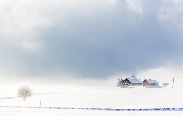 Картинка зима, поле, пейзаж, туман, дома