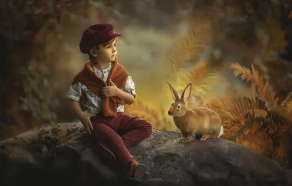 Картинка осень, природа, камни, животное, растительность, мальчик, кролик, ребёнок