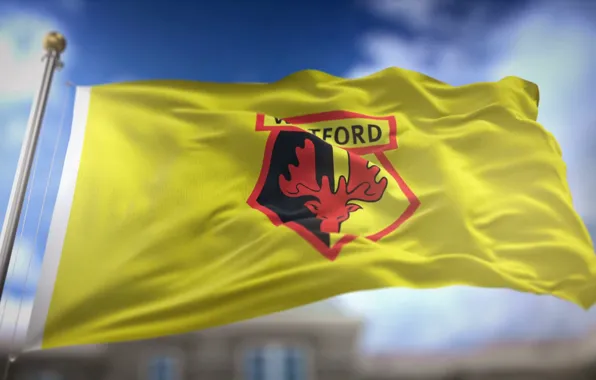 Wallpaper, sport, logo, football, flag, Watford