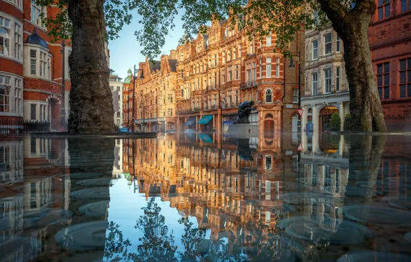 Город, London, reflection
