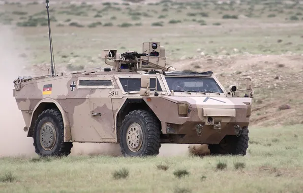Weapon, armored, military vehicle, armored vehicle, armed forces, military power, war materiel, 096
