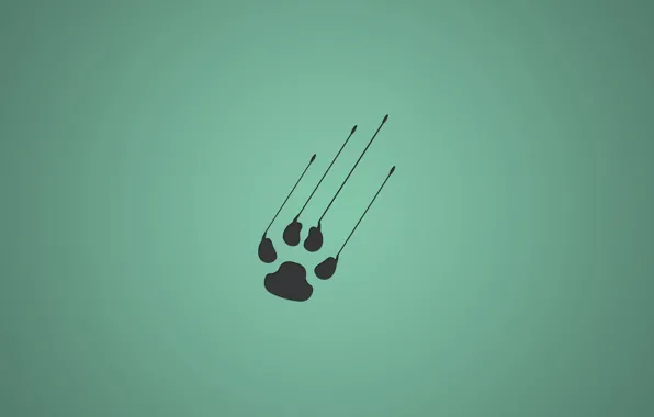 Minimalistic, animal, paw