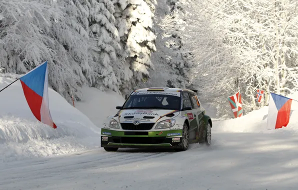 Картинка Зима, Снег, Лес, Гонка, Капот, WRC, Rally, Ралли