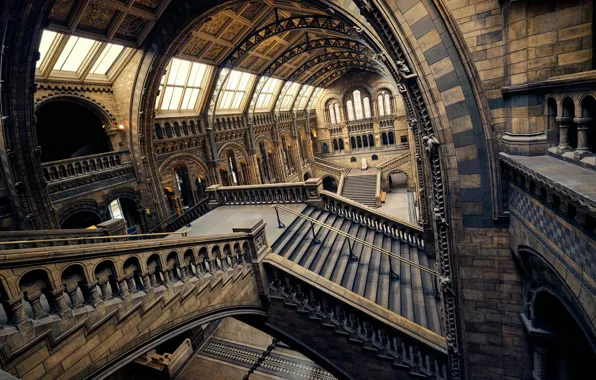 Картинка Англия, Лондон, лестница, зал, музей естествознания