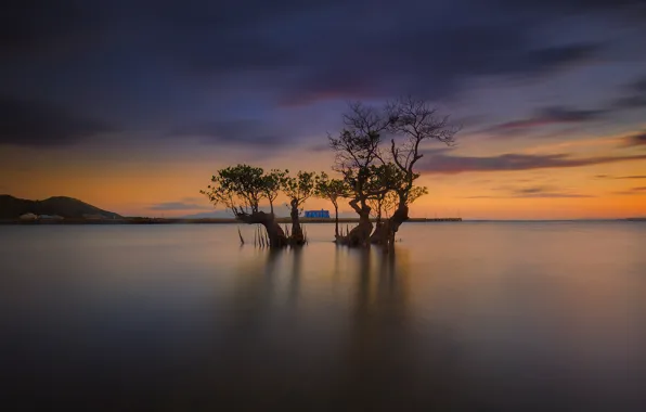 Облака, дом, дерево, Индонезия, остров Ломбок, Awang Beach