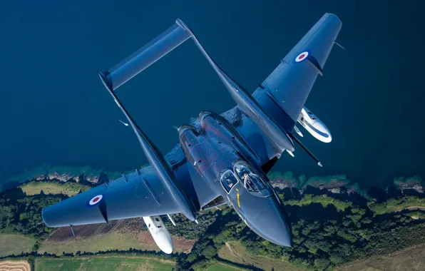 Истребитель, RAF, Royal Navy, Sea Vixen, de Havilland Aircraft Company, de Havilland DH.110 Sea Vixen