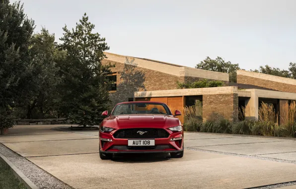 Ford, стоянка, кабриолет, вид спереди, 2018, тёмно-красный, Mustang Convertible