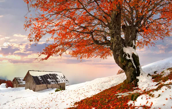 Зима, небо, снег, пейзаж, природа, дом, house, white