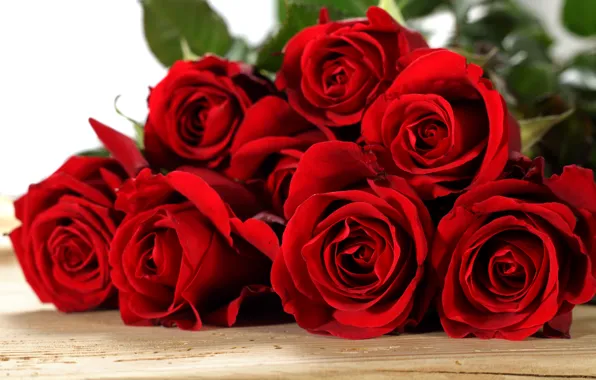 Картинка flowers, red, roses, красные, with love, розы, romantic