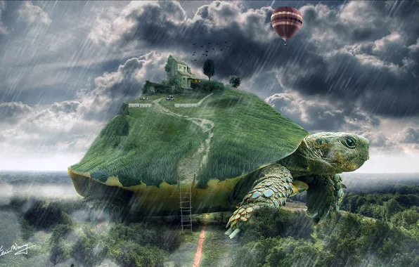 Дом, воздушный шар, дождь, черепаха, арт, лестница, гигантская