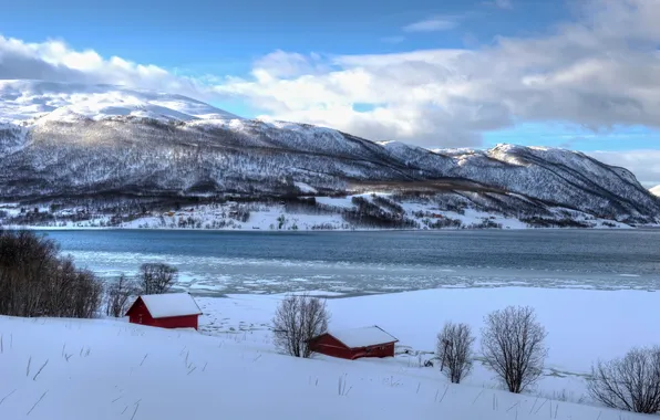Картинка море, снег, домики, Norwegian Winter