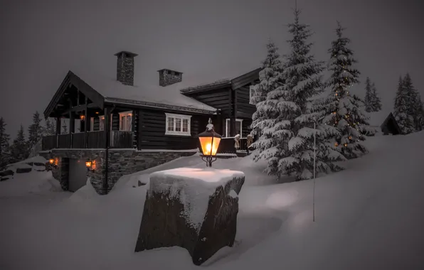 Картинка зима, свет, снег, деревья, пейзаж, ночь, природа, дом