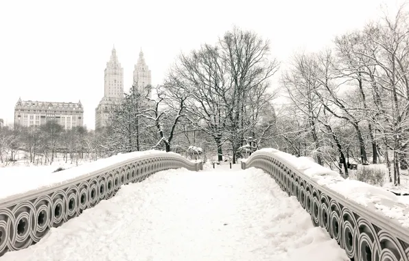 Зима, снег, деревья, город, парк, здания, дома, Нью-Йорк