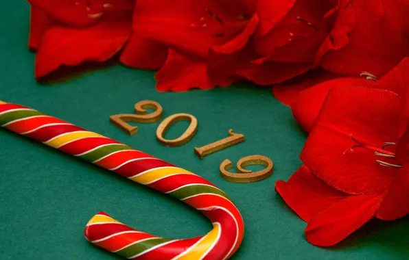 Картинка Новый Год, цифры, red, background, New Year, petals, decoration, Happy