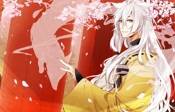 Японская одежда, лисьи ушки, лепестки сакуры, лис-демон, Touken Ranbu, Kogitsunemaru, длинные белые волосы, ворота тории