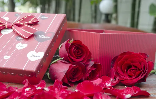 Цветы, подарок, розы, pink, flowers, romantic, gift, roses