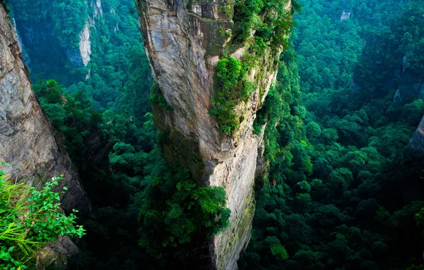 Горы, выступы, Национальный парк Zhangjiajie