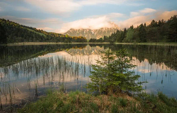 Лес, небо, трава, облака, пейзаж, горы, природа, озеро