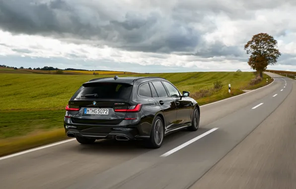 Дорога, поле, трава, чёрный, BMW, 3-series, универсал, 3er